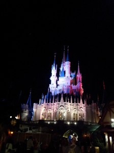 Magical color at Magic Kingdom!