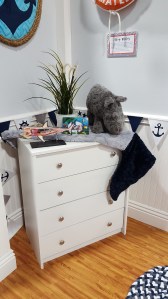 Cuddle Humpback on the dresser