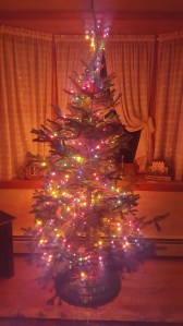 Our REAL tree 2016